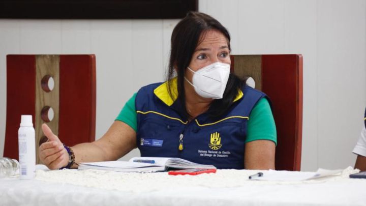 Directora Ingreso Solidario