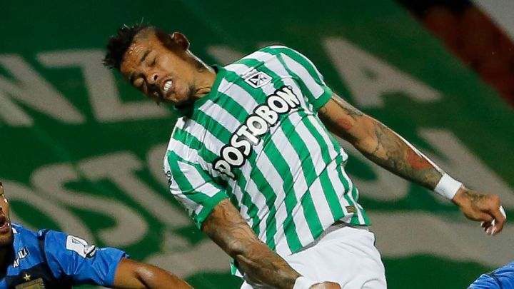 Nacional - Alianza: TV, horario y cómo ver online la Liga BetPlay