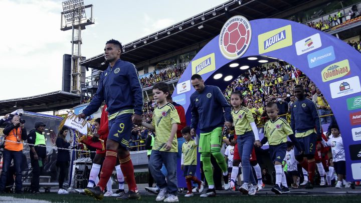 Ernesto Lucena, ministro del Deporte, publicó en su cuenta de Twitter que realizó una solicitud a la Conmebol para que la Selección juegue en Bogotá