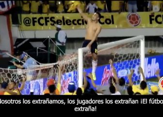 El emotivo mensaje de la FCF a todos los hinchas del fútbol