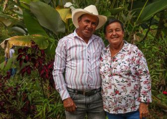 Devolución del IVA: cuánto dinero me corresponde
