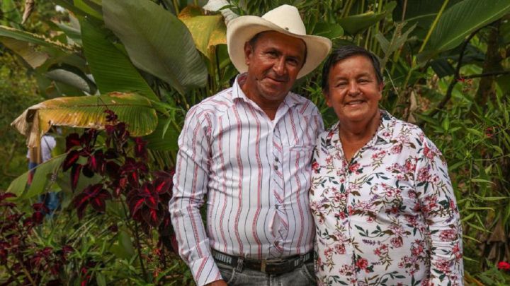 Devolución del IVA: cuánto dinero me corresponde y hasta cuándo puedo solicitarlo