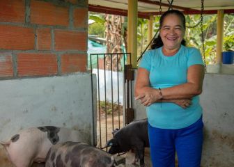 Ingreso Solidario: cómo saber si tengo pagos atrasados