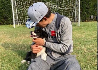 Superman, devastado por ataque de un vecino a su perro