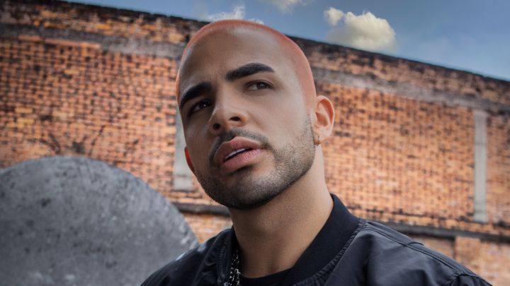 Juan Palau estrena "Vegana", su nuevo sencillo musical