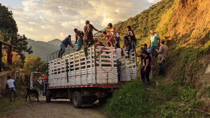 Ingreso Solidario: cuándo cobraré el giro 16