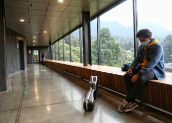 Becas SER: montos y requisitos para recibirlas