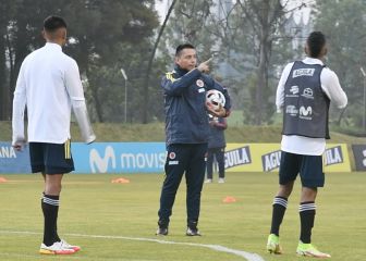 Cárdenas confirma que estudia a colombianos del exterior