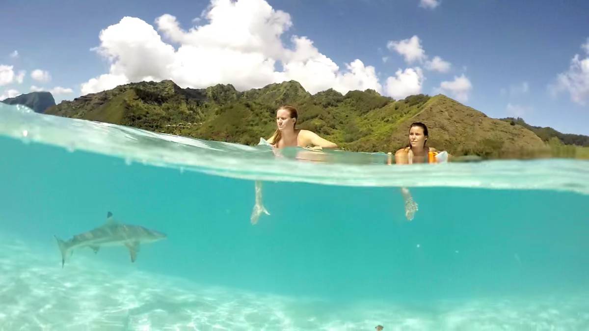2016, el año más increíble a través de una GoPro