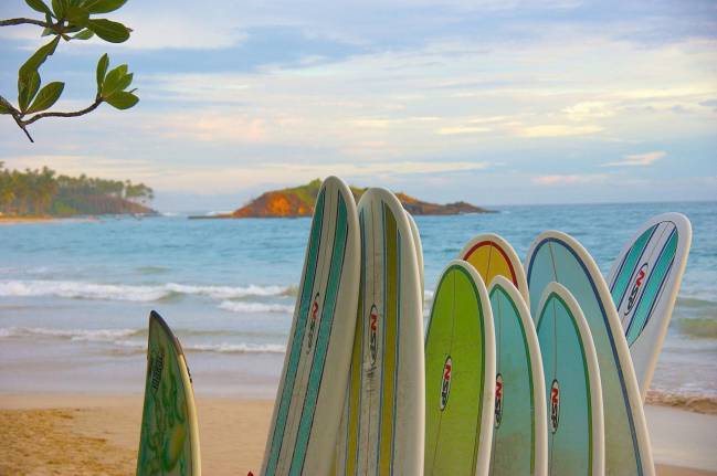 Surf para principiantes, tipo de tabla