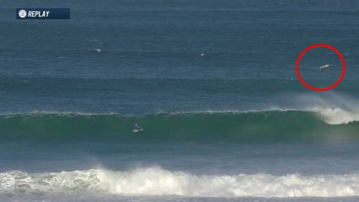 Tiburón moka o marrajo salta durante el J-Bay Open 2017 de surf