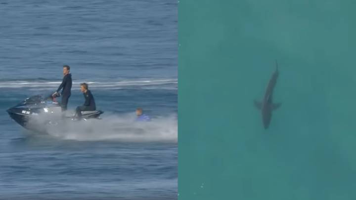 Mick Fanning - tiburón blanco - J-Bay Open 2017 de surf