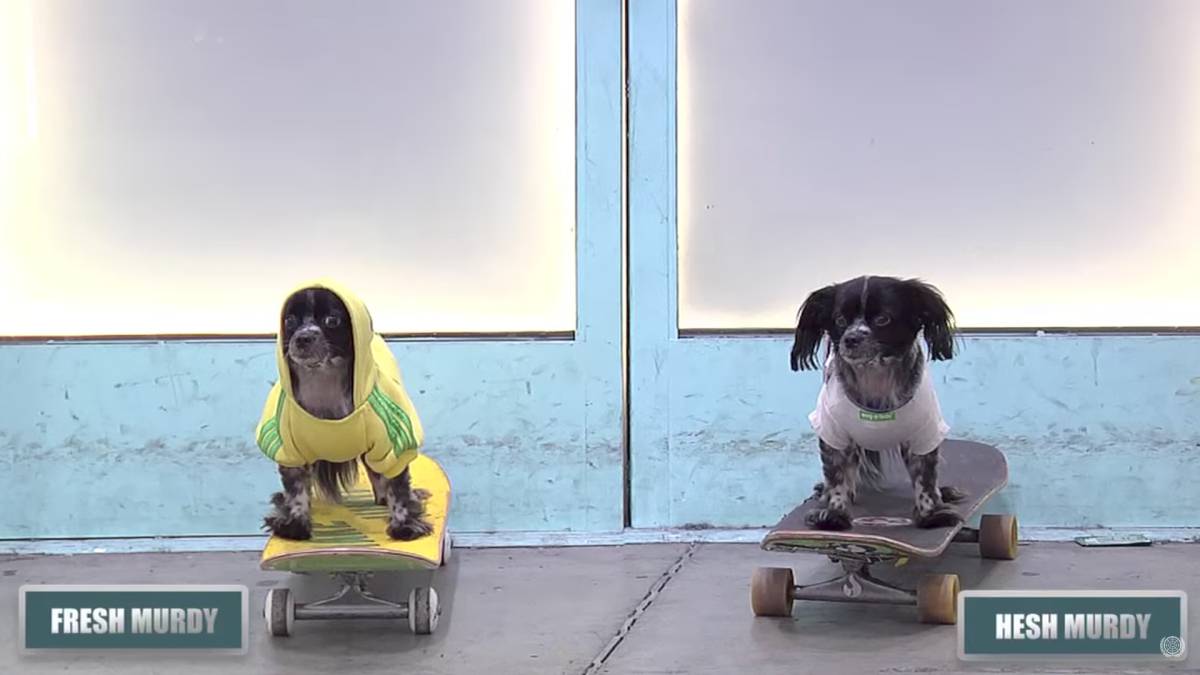 Perritos BATB - skate skaters hesh murdy fresh murdy