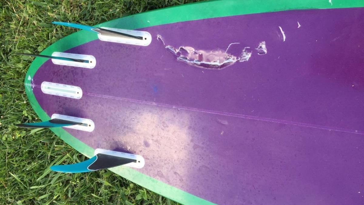 tabla surf lila verde cuatro quillas marjorie mariano dientes tiburón tigre ataque marcados