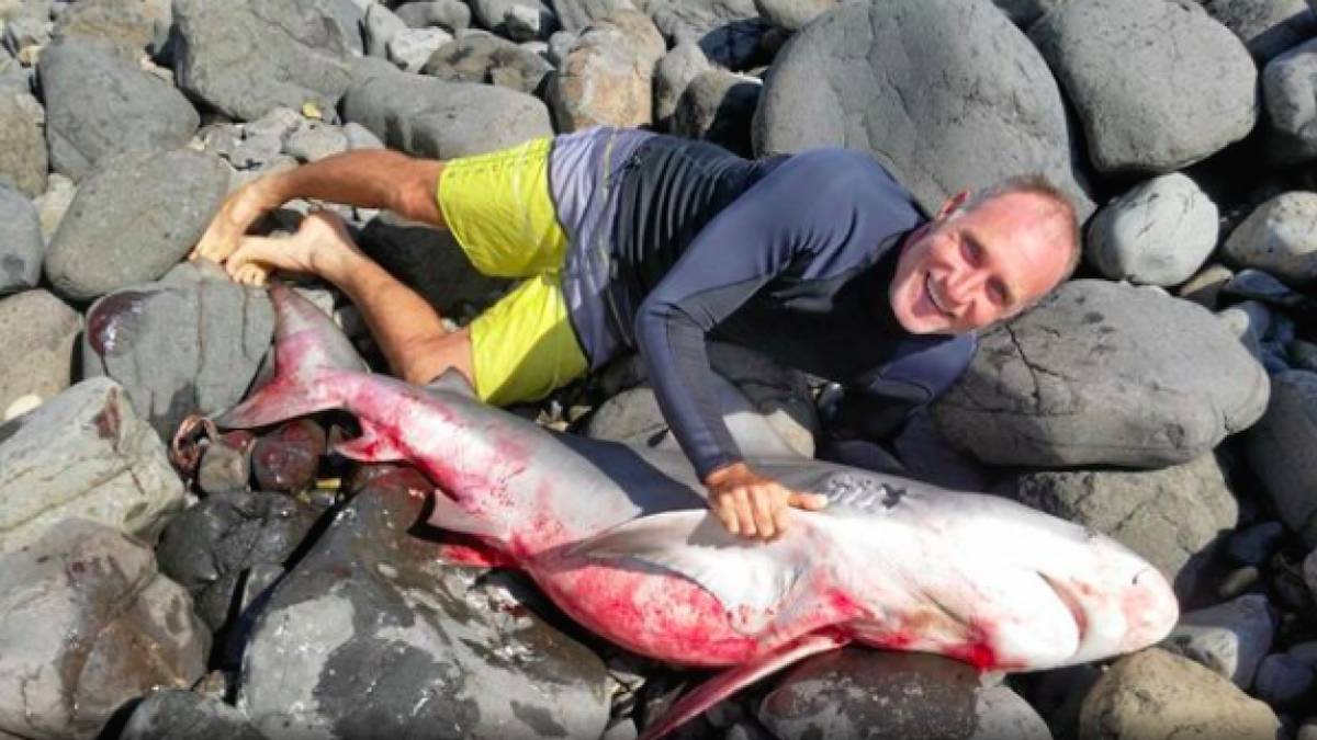 surfista australiano mata tiburon manos