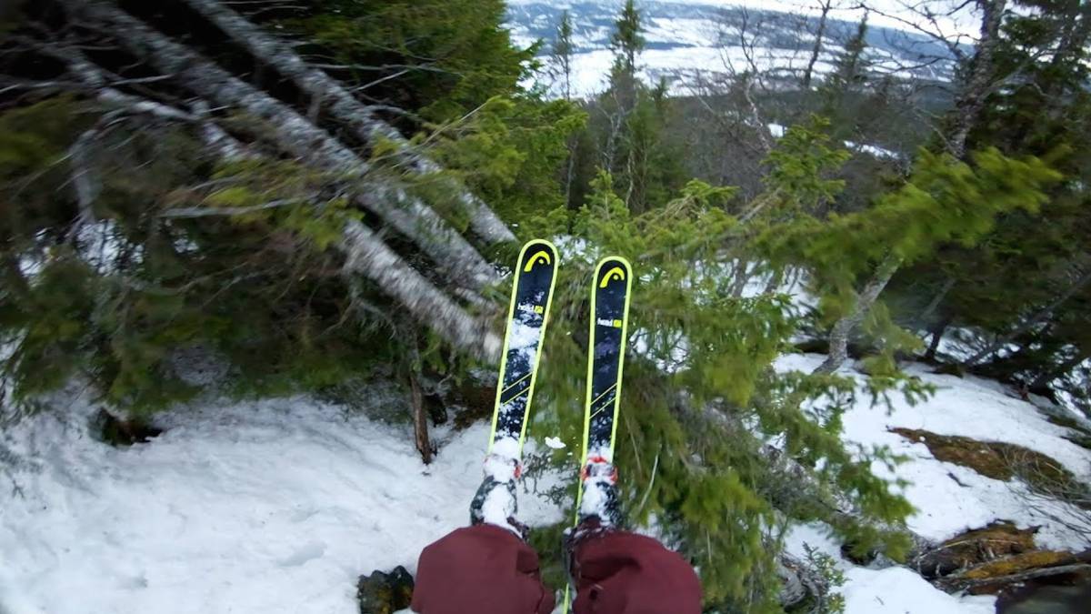 Jesper Tjäder bosque video gopro