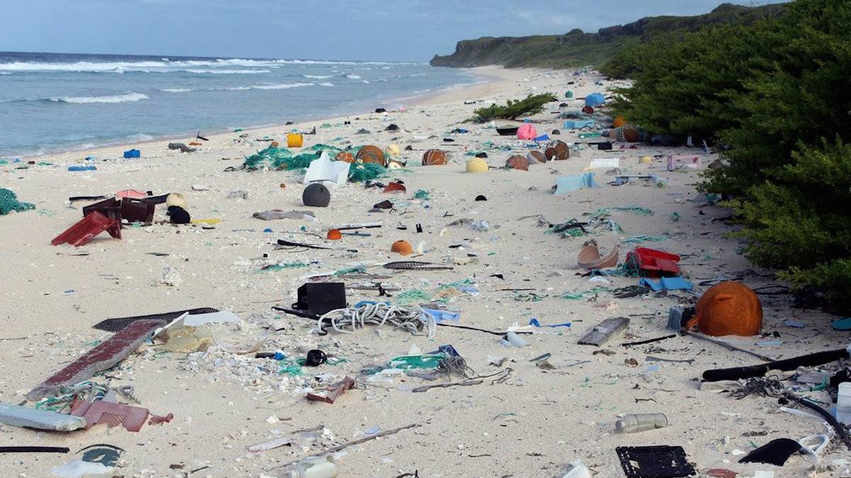 basura plasticos isla henderson pacifico estudio residuos