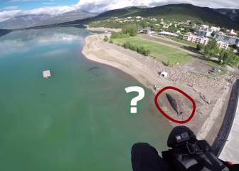 Un parapentista localiza un cachalote... en los Alpes