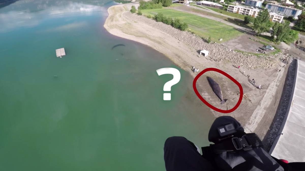 parapentista localiza cachalote alpes franceses lago