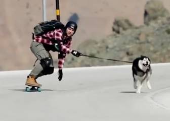 Por vídeos como este, el perro es el mejor amigo del... longboarder