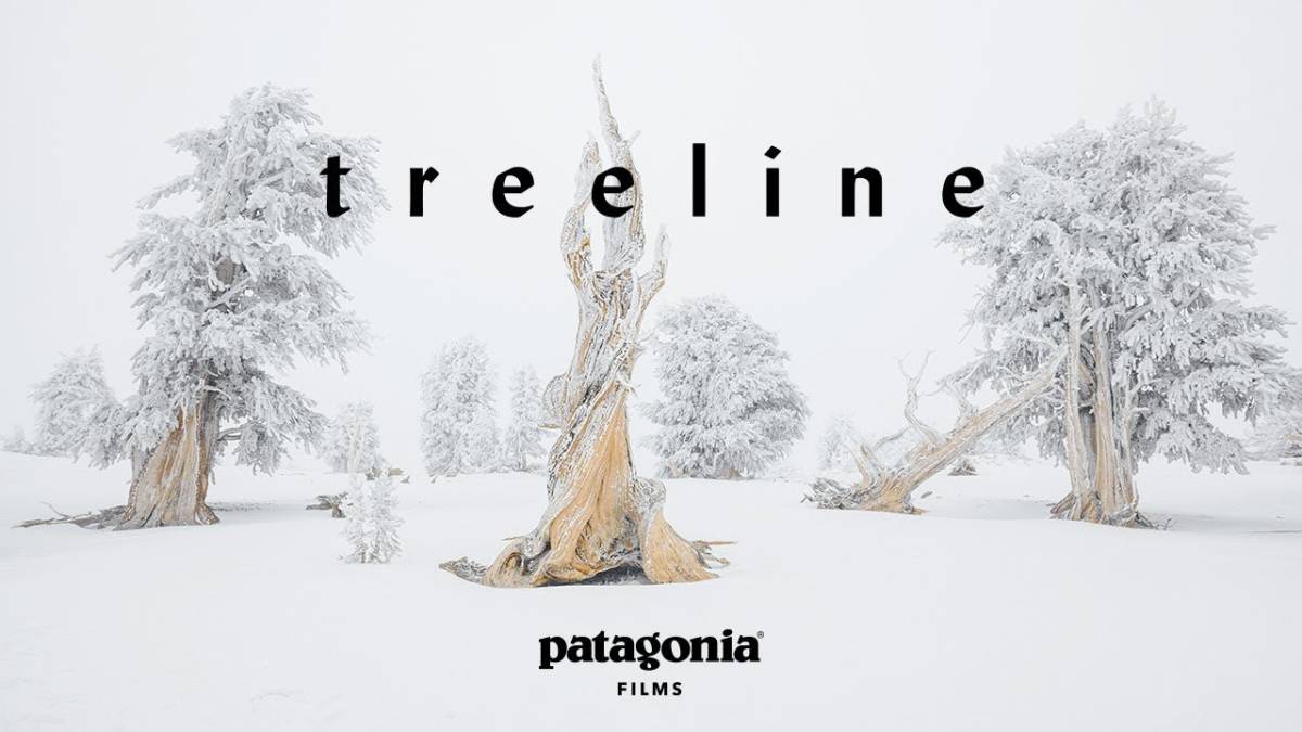 Treeline, Patagonia Films SNowboard Freeski