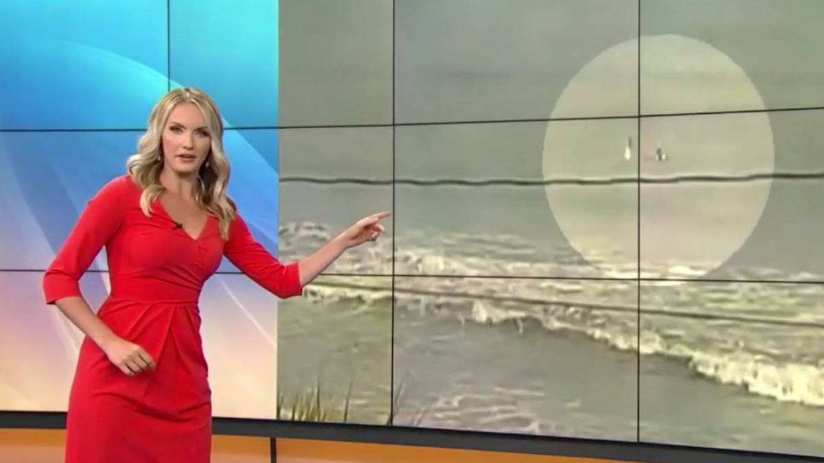 presentadora news 6 señala ataque tiburón florida surfista golpe cara
