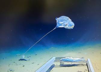 Un submarino bate el récord del mundo de profundidad y encuentra una bolsa de plástico