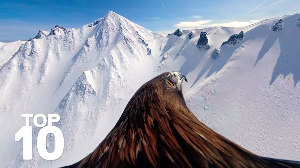 GoPro recopila los 10 mejores clips de la temporada de invierno en un alucinante vídeo
