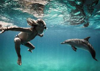 Joshua Karbus, el surfista de 9 años que creció rodeado de animales marinos