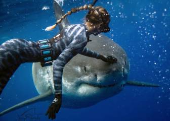 Ataques de tiburón en el mundo: cuántos hay, en qué países y quién los recibe