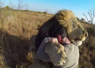 Los 10 mejores encuentros con animales salvajes grabados en GoPro