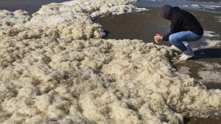 Investigan el papel de la espuma en la trágica muerte de los 5 surfistas de Scheveningen