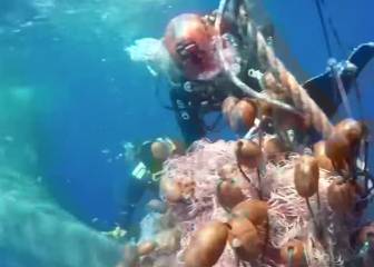Unos buceadores salvan a un cachalote de una gran bola de redes de pesca