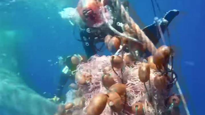 Unos buceadores salvan a un cachalote de una gran bola de redes de pesca