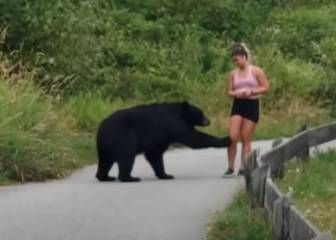 Se hace viral el tenso encuentro entre un oso y una chica en Canadá