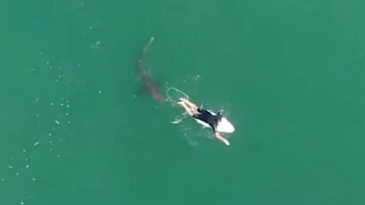 Un dron graba el encuentro del surfista profesional Matt Wilkinson con un tiburón