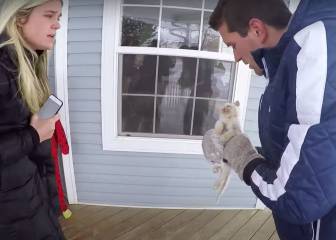 De la resurrección de un gato a peticiones extremas de matrimonio: el Top10 de GoPro