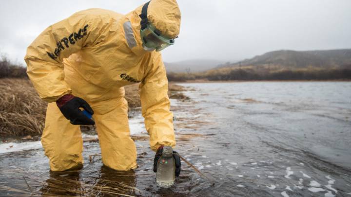 Resuelven el misterio de los peces muertos y los surfistas intoxicados en Rusia