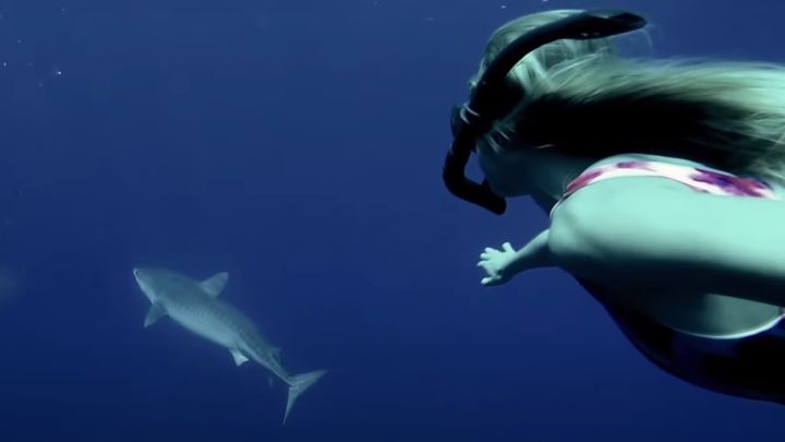 Alana Blanchard se baña entre tiburones 17 años después de que mutilaran a su mejor amiga