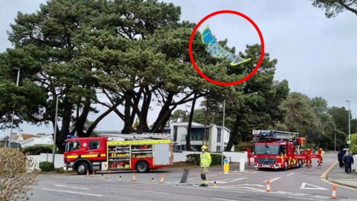 Los bomberos rescatan a un kitesurfista colgado de un árbol