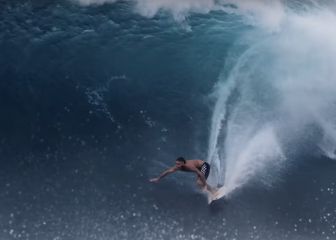 4 vídeos extremos: un león marino, olas como camiones, rocas y patín de pandemia