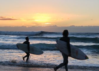 Share Your Board cumple su primer año evolucionando en un marketplace