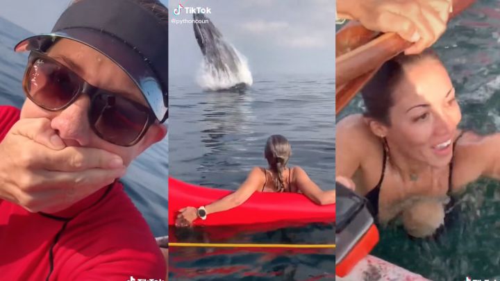 El vídeo extremo de la semana: una ballena le da el susto de su vida