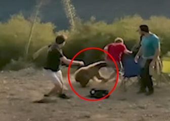 Graban el ataque de un oso a unos excursionistas