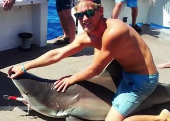 Un tiburón ataca al que se hace llamar 'jinete de tiburones'