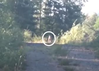 Se salva del ataque de un puma con una canción de Metallica