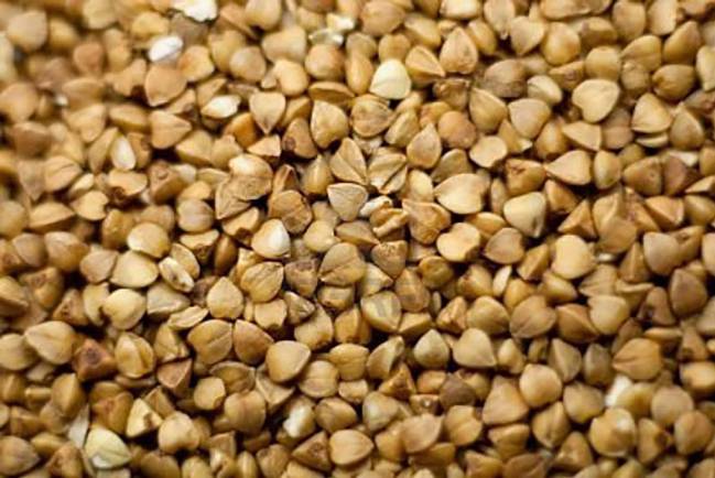 El trigo sarraceno no contiene gluten, por lo que es apto para celiacos.