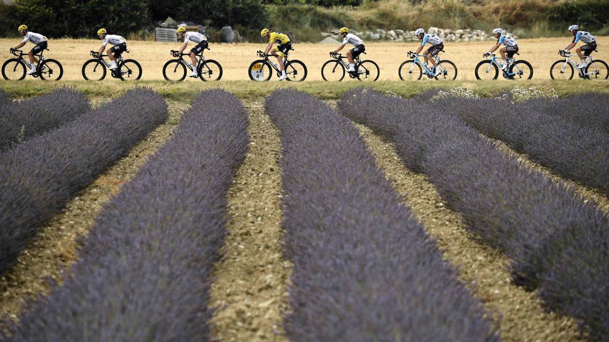 La lavanda es un potente calmante tras hacer deporte