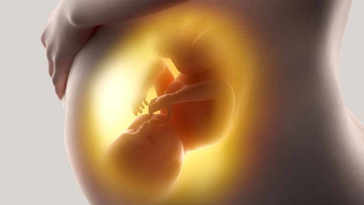 ‘Células asesinas’ podrían ser la causa de los abortos involuntarios