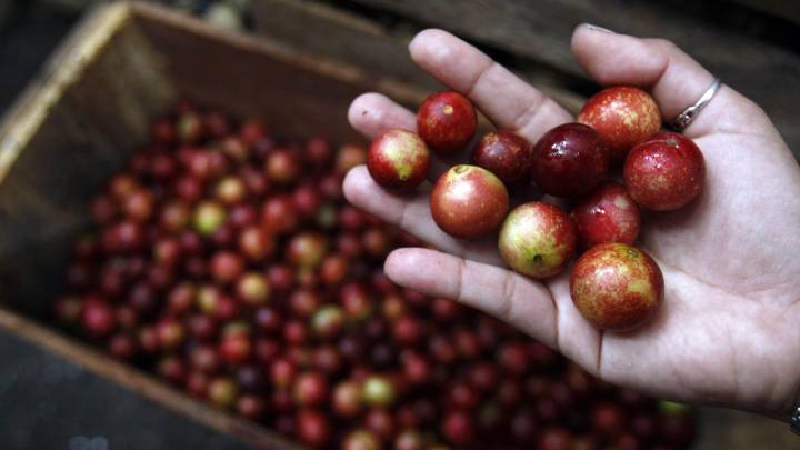 20 superalimentos para la dieta que siempre han estado ahí